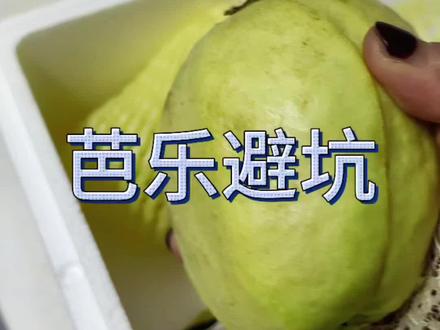 上次买的一箱难吃的芭乐都扔了,不死心,这又换了一家买的再试试是不是你们说的冰淇淋口感#芭乐##避坑
