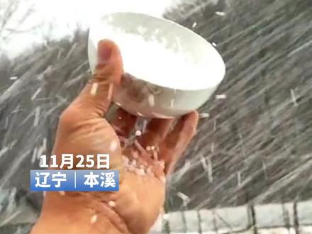 天上下“大米了?其实是下霰,网友拿碗展示:今年新东北大米!
