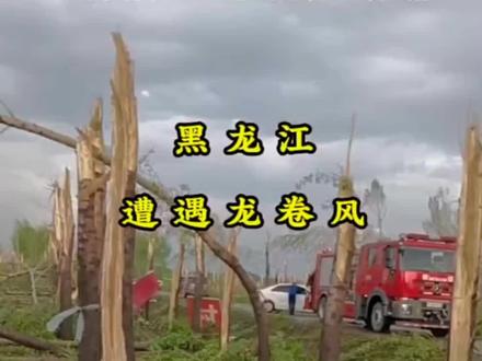 黑龙江绥化市明水县育林乡等多个村庄遭遇大面积龙卷风伴着冰雹袭击,暂时没有人员伤亡,但是家园被毁,地里的苗被损害,损失惨重,有的家里房子刮丢了,有的就剩下炕了,有的老两口趴在地上,整个房屋都刮没了,有的家里没人房子刮散了,有的有人的没地躲没地方藏的,吓得够呛哎嘛太难了现在是每天给一个小时的电,其他时间正在抢修