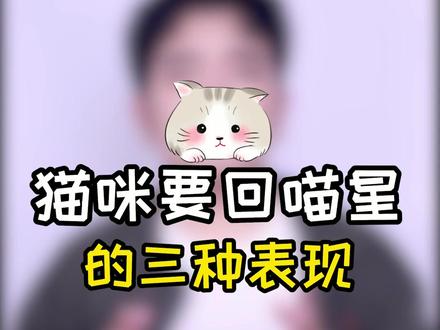 它是喵星派来人间的天使,现在上帝要召唤它回去了#猫咪 #养宠进阶指南