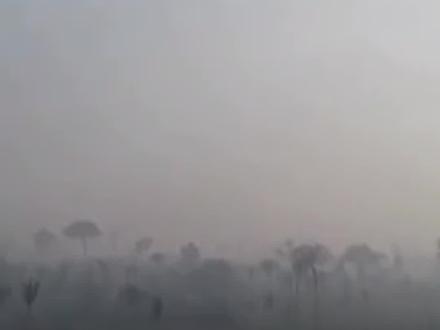 亚马孙雨林半年砍掉四个纽约!