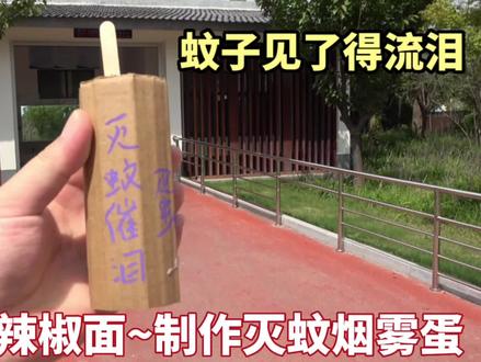 用乒乓球和辣椒面制作了一个灭蚊烟雾蛋,蚊子见了应该会流泪吧?