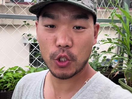 甘蓝育苗 秋季甘蓝开始育苗喽#记录我的种植生活