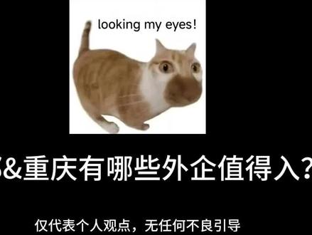 有哪些外企值得入?成都&重庆篇#外企 #拒绝废话#科普#冷知识#省流 #应届生求职 #成都 #重庆