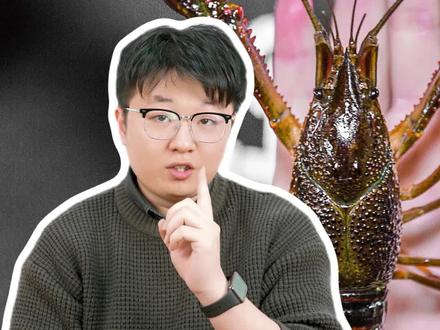 龙虾和小龙虾,还傻傻分不清?