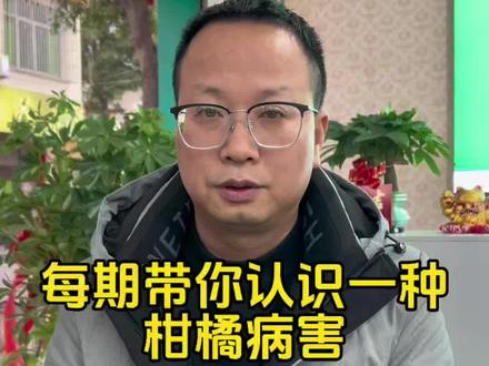 树脂病,又叫砂皮病!#知识科普 #柑橘种植#新农人计划