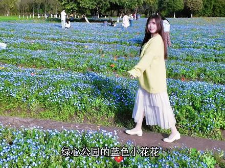 大家都在问我绿心公园的蓝色小花花具体在哪个位置,今天给大家画个路线图,跟着去就可以找到啦#请你看花 #绿心公园 #喜林草