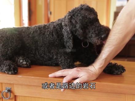 看似普通的盐,为什么会被垄断?(1)