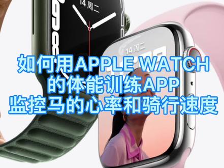 如何用苹果手表apple watch 7 上自带的原生马术运动体能训练app,训练你的马。#马术 #马术运动