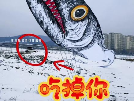 【2025第665期】【第一视角试飞】
2025.12.28 西南风四级
试飞发济南兄弟购买的30米手绘带鱼(刀鱼)风筝,默认飞行稳定已发出。
绸布/树脂杆/凯夫拉提线
建议使用防倒转背带轮或者变速轮放飞
线径建议使用2或者1号编织线(凯夫拉)
#本溪风男滑翔机风筝
#户外
#运动