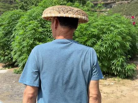 今天姑姑带着家人来我家做客啦! #我的乡村生活 #vlog日常