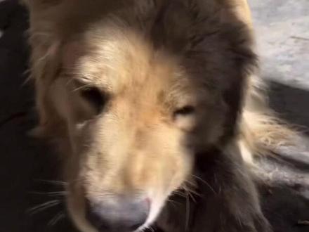 2026.2.7骏良直播回放2/2 #骏良#骏良直播回放