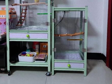 #手工diy #鹦鹉鸟笼 #置物架改造鸟笼 置物架改造鸟笼详细教程,想做的看看吧