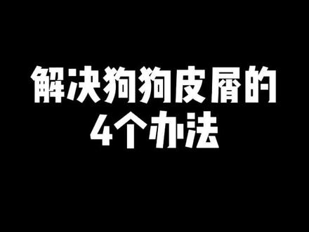 解决狗狗皮屑的4个办法#狗狗 #宠物