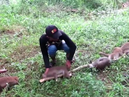 电工猴哥被逮了,不知道带回去是放生还是先放生姜驱寒!
#神奇动物在抖音 #猴子 #电工猴 #印尼猴子 #户外