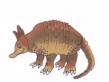 #简笔画 #犰狳 哪种动物被称为披甲猪?