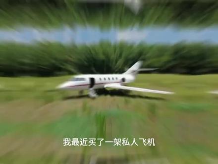 我在飞机坠毁中幸存了下来 #mrbeast #野兽先生 #野兽游戏