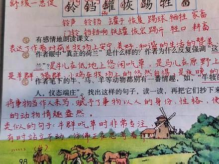 五年级语文下册19、《牧场之国》课后习题讲解,喜欢荷兰牧场的生活#关注我持续更新小学知识