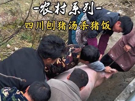 出门在外的朋友们,快回来吃刨汤咯。#新农人计划 #杀年猪了#创猪汤