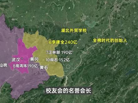 湖北籍的十大富豪?哪个地方的最多?都是哪里毕业的?读书能改变命运吗?2/2