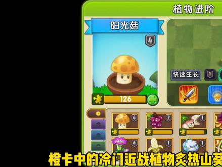 植物大战僵尸2:炙热山葵vs甘蔗师傅