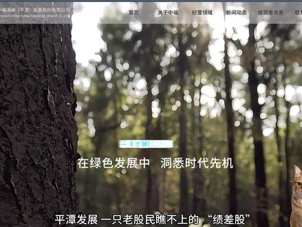 平潭发展,2025福建“妖股之王”背后的故事 平潭发展,2025福建“妖股之王”背后的故事。
1996年深交所上市至今,平潭发展集齐了8个曾用简称,被ST了N回都没退市,堪称不死鸟,直到2014年,终于从“中福实业”变身“平潭发展”,完成终极进化。
注册地变更也是8次,2001年以来,平均3年变一回。
平潭发展前身中福实业,由福建省属国企发起设立,后因经营不善,中福实业深陷财务困境,实施重大资产重组,被刘平山于2008年前后收入囊中。
刘平山政界履历丰富,自然比普通商人嗅觉更灵敏。
目前,注册地在平潭的A股上市企业仅有两家,以地区命名,平潭发展则是独一份,也因此被当成平潭概念第一股。
但很多人不知道,平潭发展只是名字和注册地捆绑平潭,主业营林造林资源主要分布在福建其它地区,如龙岩、南平、三明、漳州。
一句话总结,平潭发展并不靠平潭吃饭,它的平潭属性更多体现在战略卡位与资本市场叙事。
或许,这家公司最硬的资产,是它的名字。
#福建 #平潭发展 #福建财经 #两岸