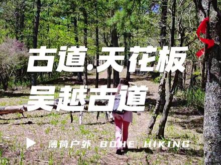 🌟【吴越古道徒步攻略】穿越千年的绝美秘境!⛰️
🔥 路线亮点
✅ 15km轻徒步,新手友好!石板路+山林野趣,全程5-6小时,边走边拍超轻松~
✅ 打卡「浙西天池」💧海拔1100m的“天空之境”,云雾缭绕如入仙境!
✅ 千年古关「千顷关」巍然屹立,一脚踏两省,感受吴越战场的烽烟历史🗡️
✅ 野花古道、竹林秘境、瀑布溪流…四季皆美,秋日红枫漫山更是封神!🍁
📸 出片指南
1️⃣ 天池湖畔奔跑/背影,无人机视角秒获万赞!
2️⃣ 古道石阶回眸,林间光影氛围感拉满~
3️⃣ 千顷关城墙沧桑感,汉服/武侠风炸裂评论区!
⚠️ Tips
🔸起点:安徽宁国万家乡大塔村,终点杭州临安,自驾可两地停车接驳。
🔸装备:防滑徒步鞋、2瓶水+干粮,登山杖省力!
🔸无门票!但天池区域可能有清洁费10元。
🔸雨天路滑慎行,晴天做好防晒!
🎒 逃离城市,用脚步丈量历史!
👉 评论区喊话搭子,周末一起冲!
#吴越古道 #徒步天花板 #江浙沪周边游 #户外治愈计划
💬 “山不向我走来,我便向山走去”
👉 关注我,解锁更多小众徒步路线!🌿