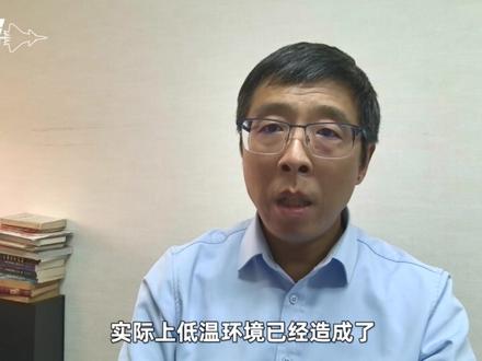 飞船返回舱玻璃开裂,神舟20乘组“换车”返回地面 #零基础看懂全球 #全球创作者计划 #神舟20