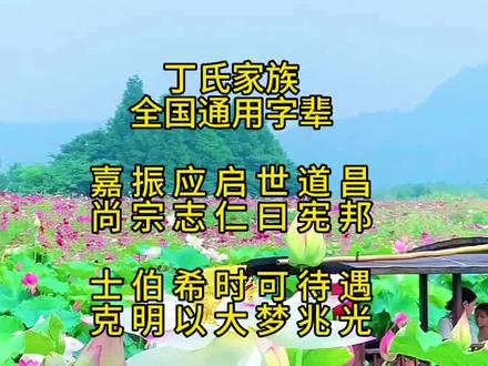 #丁氏家族 全国通用字辈 #天下丁氏一家亲 #传统文化 #家族族谱