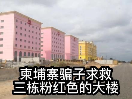 柬埔寨骗子求救,位置在三栋粉红色的大楼,是这三栋吗?#地球百科君 #柬埔寨