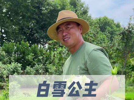 保罗二世又复花了!美丽又抗并,你们喜欢吗!#月季 #园艺