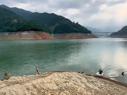被忽悠了4斤鱼 #刷锅传媒 #钓鱼 #擒龙诀硬挺王大鱼挑战赛第二季