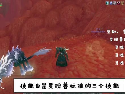 魔兽世界9.1最酷炫,最稀有,经典必抓的猎人宠物-灵魂兽-安卡-持续更新中#为了部落 #灵魂虎 #安卡 #灵魂兽 #wow #游戏攻略 #游戏精彩时刻