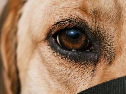 【电影坊】小Q与您周六不见不散