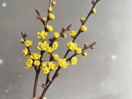 腊梅花教程来啦! 小伙伴们,久等啦!#创作灵感 #扭扭棒可以做哪些手工作品 #简单手工花朵制作 #手工腊梅花 #简单花朵手工 @DOU+小助手 @DOU+上热门