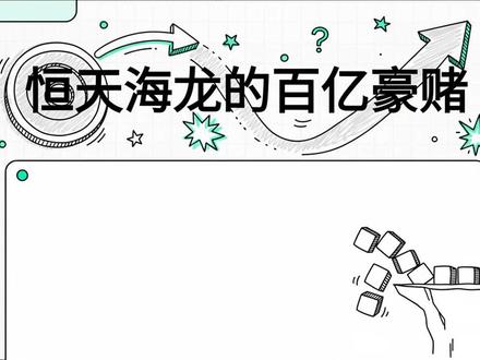 恒天海龙的百亿豪赌 #连帆布 #投资 #股票 #恒天海龙 #航空