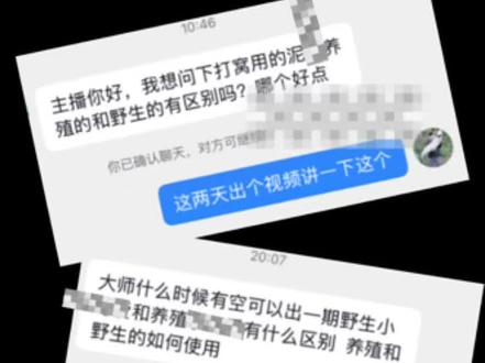 回答钓友问题第十期:野生五克亮片和养殖的做窝区别#路亚翘嘴 #格小格爱钓鱼 #泥鳅党 #路亚