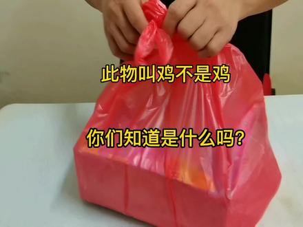 此物叫鸡 不是鸡 不是鸡来又叫鸡 马来西亚美食