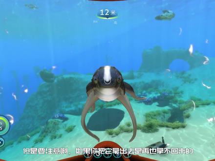 【深海迷航】九分钟带你了解深海迷航全部52个外星生物