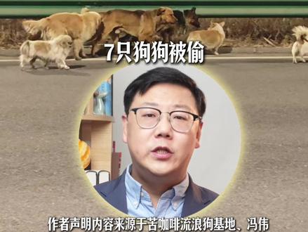 7只狗狗被偷掉落在高速上 结伴跋涉十几公里成功返家 狗狗是一 个屯子的 平时一起玩耍#狗 #狗狗 #正能量