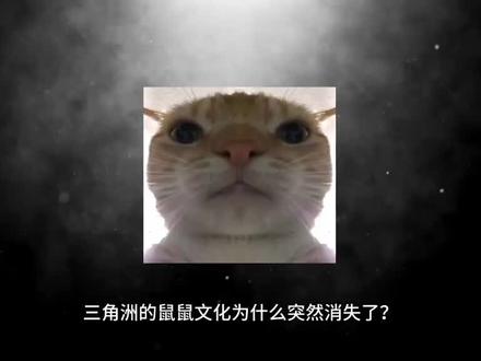 三角洲的鼠鼠文化为何突然消失了,大家知道其中缘由吗? #三角洲行动 #三角洲跑刀 #三角洲鼠鼠