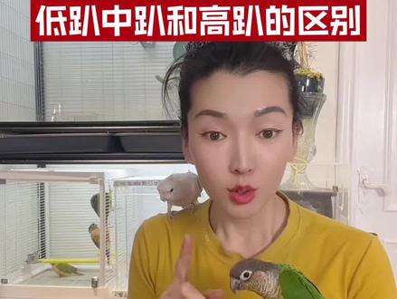 买小太阳鹦鹉不要刻意追求趴度,大部分小太阳不管是什么趴度,养到6个月以上都会掉颜色掉趴度,不要因为趴度高就多花冤枉钱。买鸟的时候一看鸟鸟的健康程度,二看鸟鸟亲人程度就足够了。