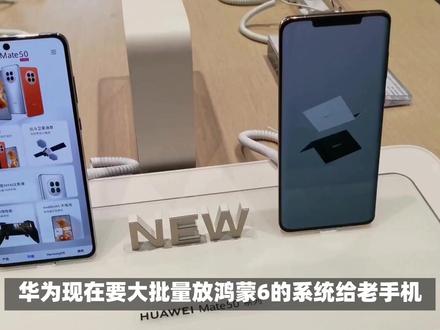 华为开始鸿蒙6系统给老手机放量?mate60之前手机有机会?