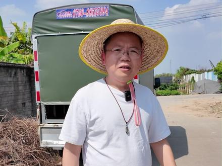 广州南沙千亩甘蔗滞销,尽自己微薄之力助农助力 #老汪秒车 #广州南沙 #甘蔗滞销 #助农