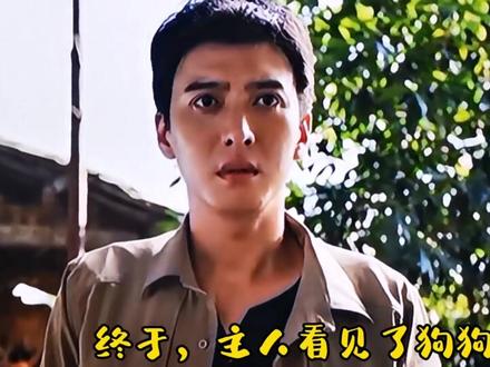 忠犬流浪记 狗狗经历久久八十一难终于找到思念已久的主人已完结 #原创剪辑 #人间温暖 #原创作品