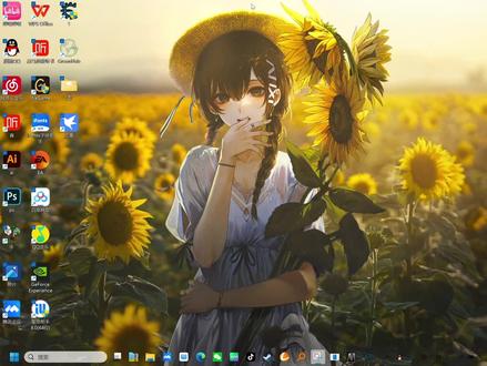 #修改器 #wallpaper #小红车
ce修改器的基础教程