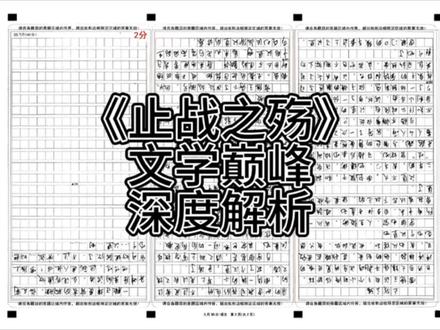《止战之殇》文学巅峰作品!现实与幻想的完美交织 #止战之殇 #作文#雷德王#文学@郑芳浩