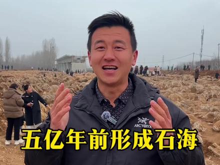 宁阳歇息铺,挖掘出五亿年前的石海,感受 大自然的鬼斧神工。#宁阳石海 #宁阳石头