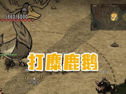 《饥荒》打春季的麋鹿鹅 遇到蜘蛛群捣乱 #饥荒联机版