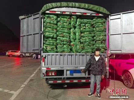 广西崇左司机接了一车货物,在高速路上被抓了,7000多久斤烟叶,定走私普通货物物品罪#走私普通货物物品罪 #香烟 #广西刑事律师 #找律师
